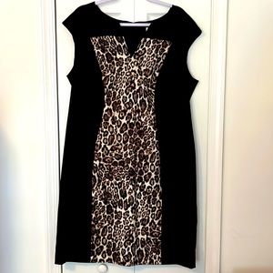 Dressbarn black and leopard dress